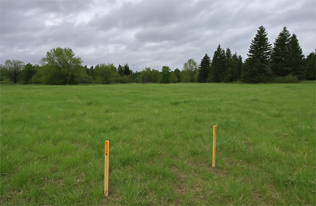 Idaho land offer review for How to Sell Land Without Clear Title in Idaho